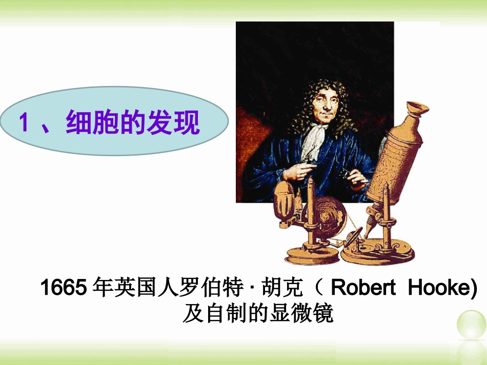 苏教版七年级上册植物细胞的结构与功能_第2页