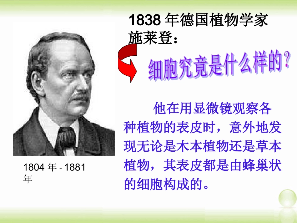 苏教版七年级上册植物细胞的结构与功能_第3页