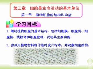 苏教版七年级上册植物细胞的结构与功能