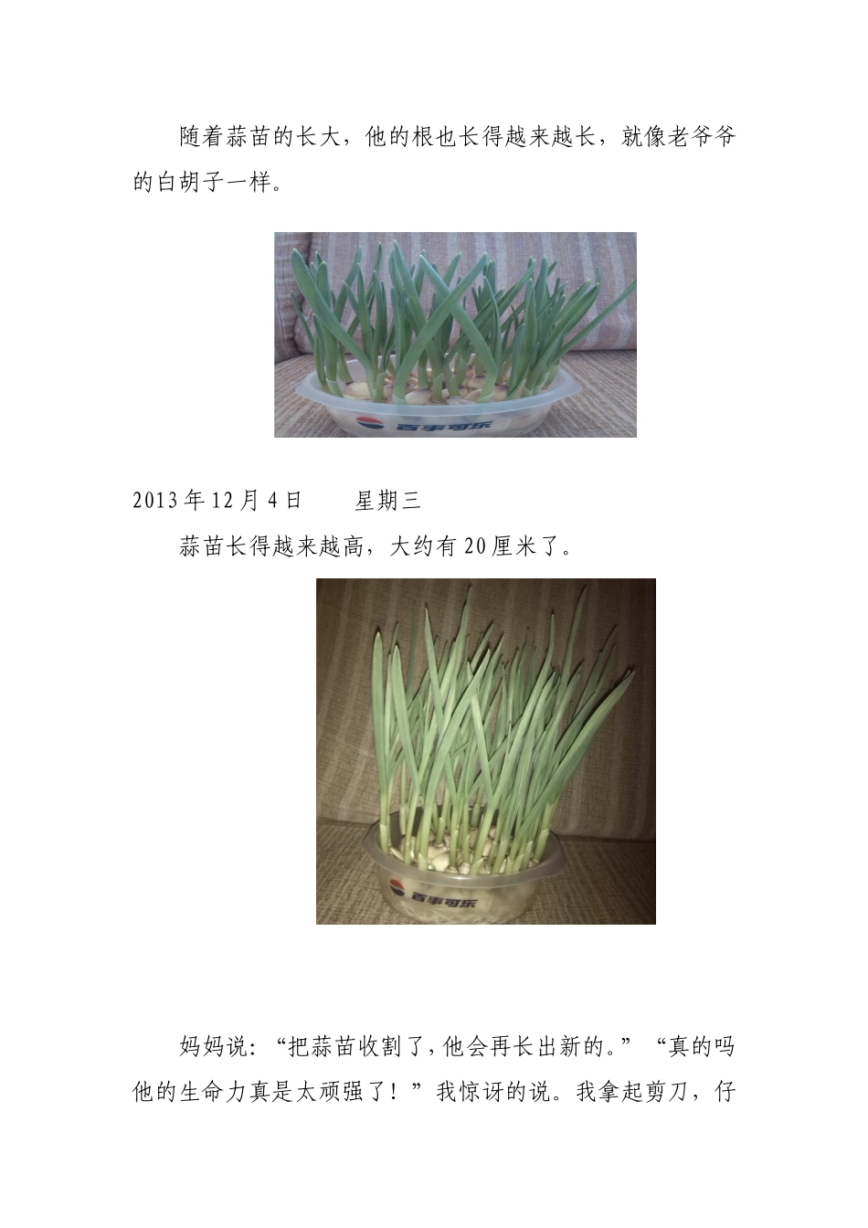 观察日记(种大蒜)[1]_第3页