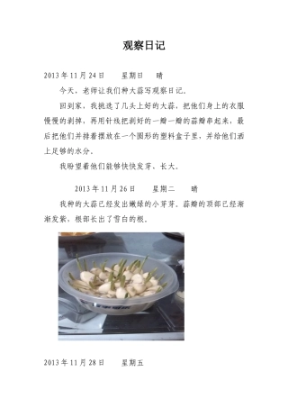 观察日记(种大蒜)[1]