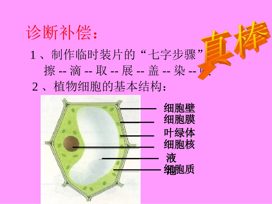 人教版初一七年级上册生物《观察动物细胞课件PPT》 (1)_第2页