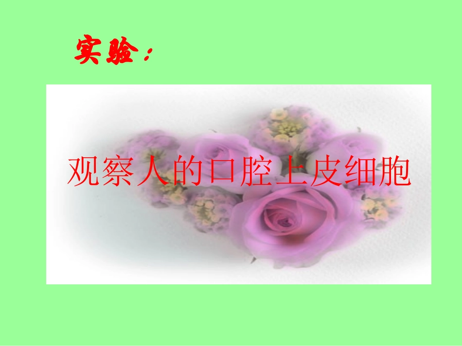 人教版初一七年级上册生物《观察动物细胞课件PPT》 (1)_第3页