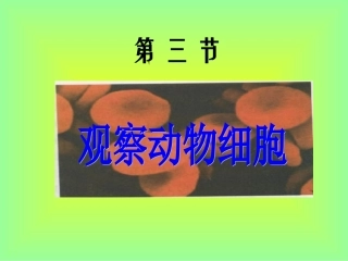 人教版初一七年级上册生物《观察动物细胞课件PPT》 (1)