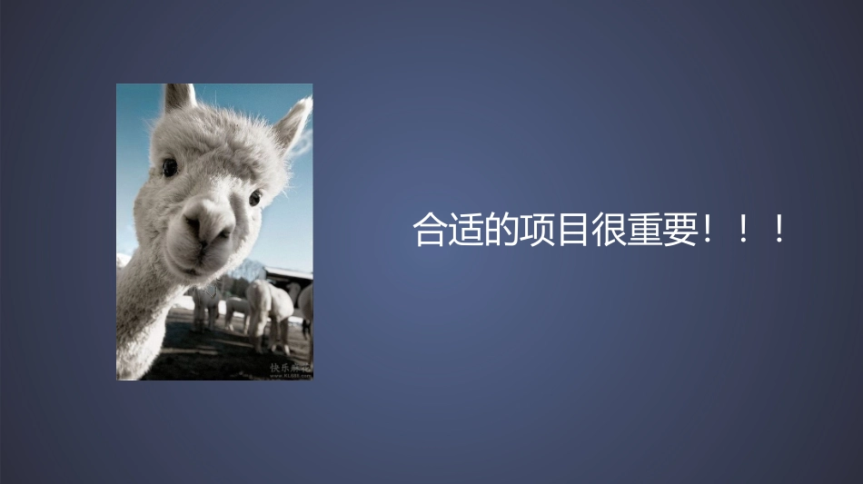 演讲招商方案_第3页