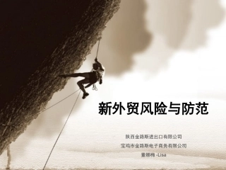 外贸风险防范