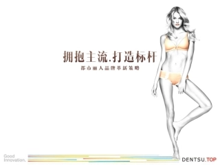 都市丽人内衣品牌革新营销策略方案