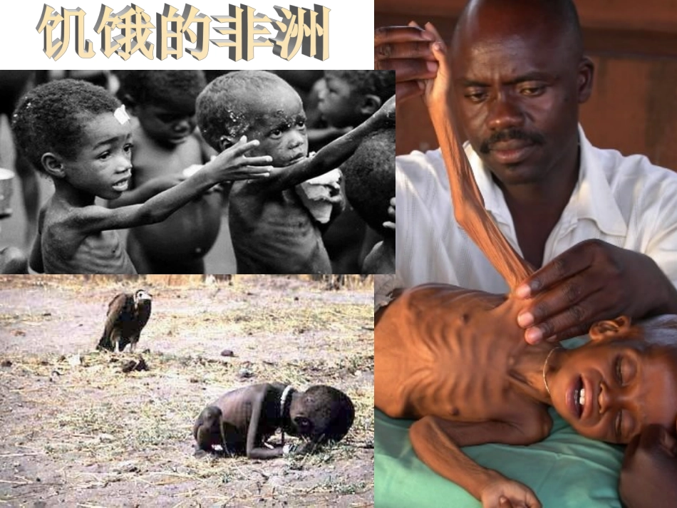 高中地理_中国农业_优质课件_第3页