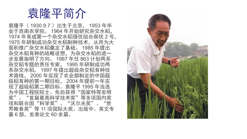 袁隆平简介PPT_第2页