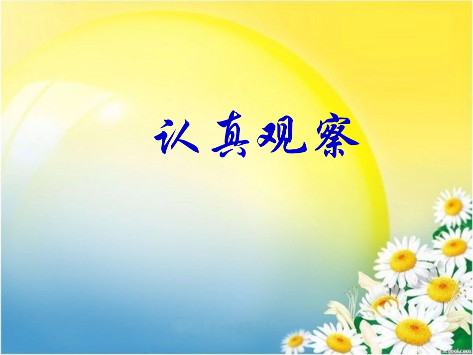 观察作文——桔子_第1页