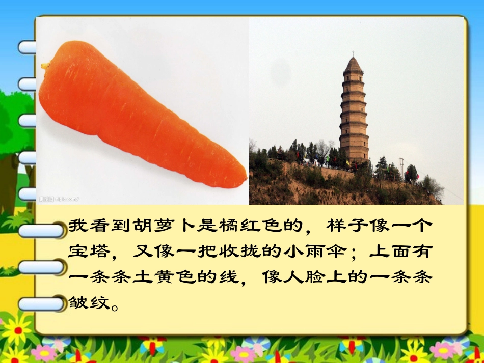 观察作文——桔子_第3页