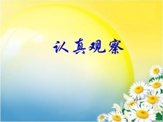 观察作文——桔子