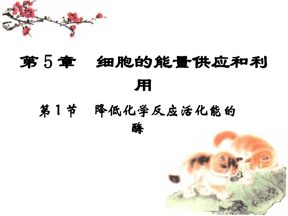 公开课：降低化学反应活化能的酶_第1页