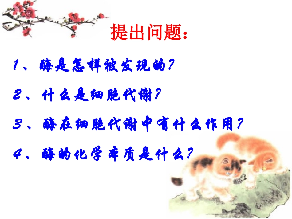 公开课：降低化学反应活化能的酶_第2页