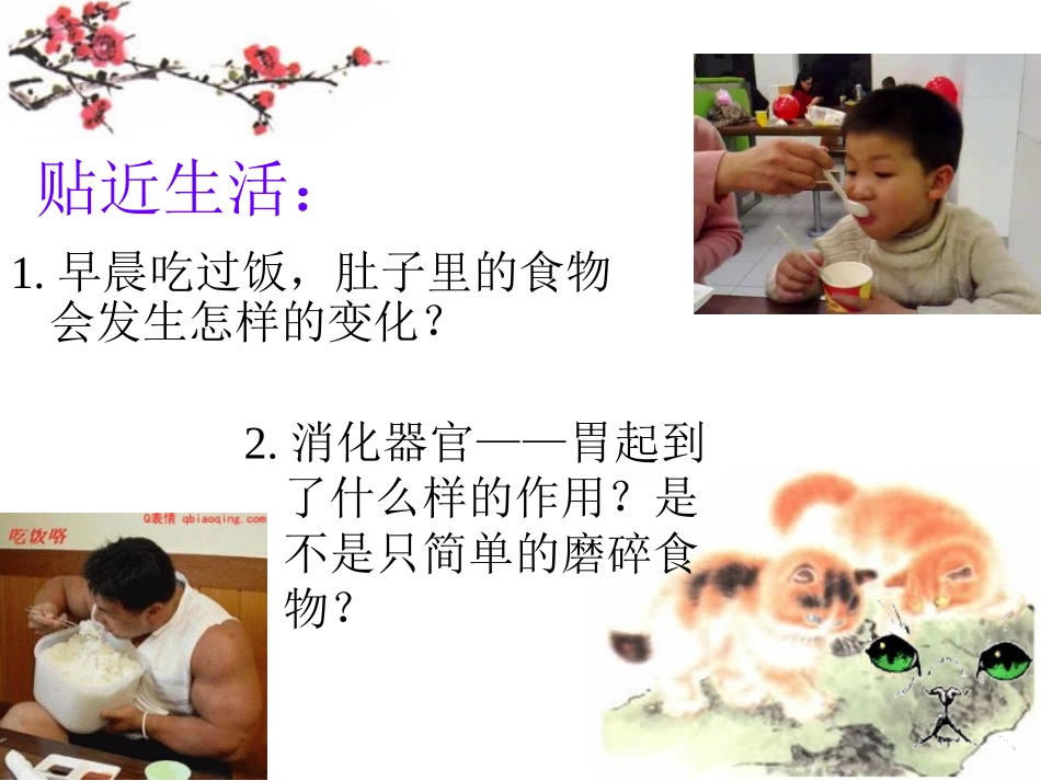 公开课：降低化学反应活化能的酶_第3页