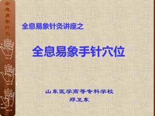 全息易象针灸-手针穴位系统