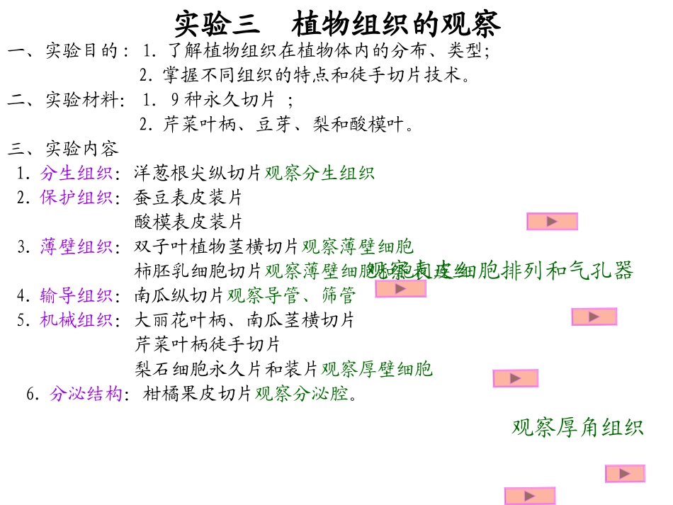 植物实验切片观察_第3页
