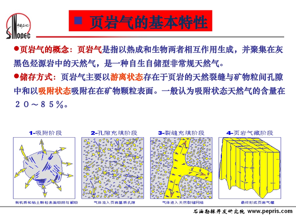 课件--页岩气开采现状及关键技术---李宗田_第3页