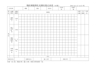 实测实量记录表格式