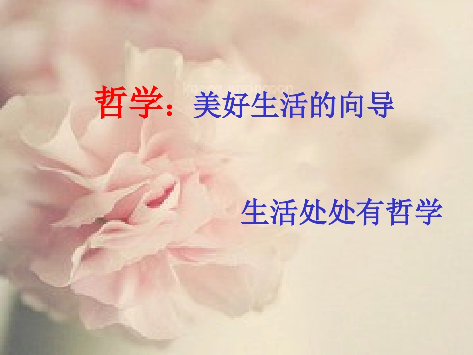 看看生活中的哲学_第1页