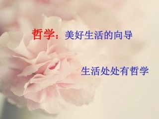 看看生活中的哲学