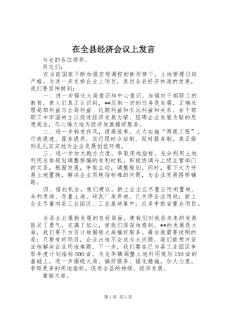 在全县经济会议上发言