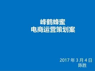蜂蜜电商运营策划案
