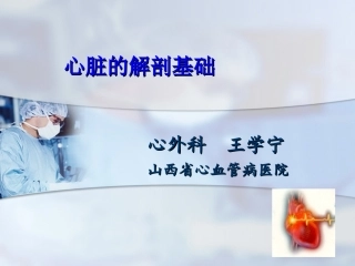 心脏解剖基础知识幻灯