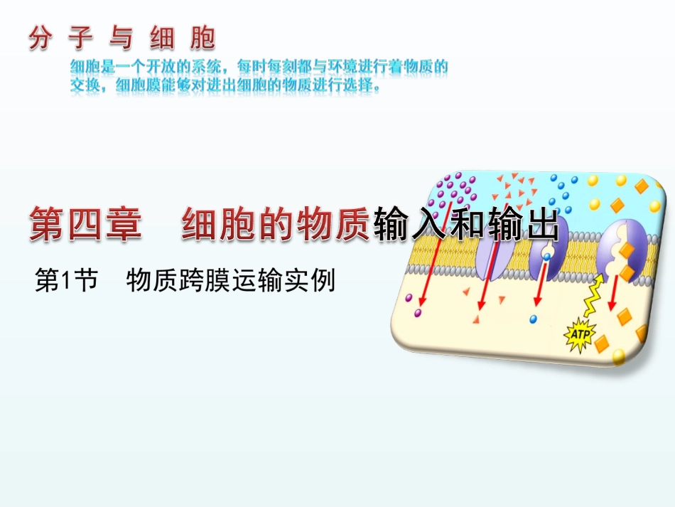 物质跨膜运输的实例_第1页
