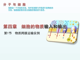 物质跨膜运输的实例