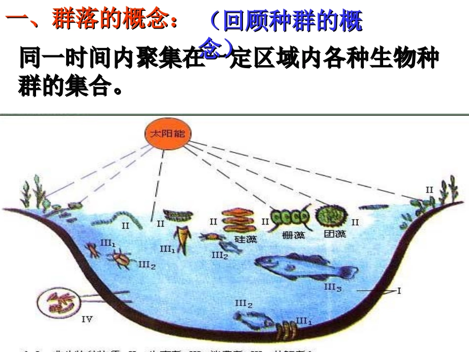 群落的结构(优秀课件——上课专用)_第2页