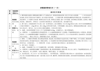 脐橙栽培管理月历