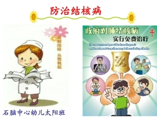 结核病防治课件PPT