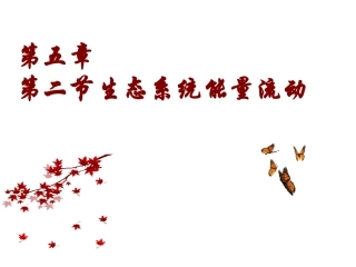 生态系统的能量流动_公开课特别经典