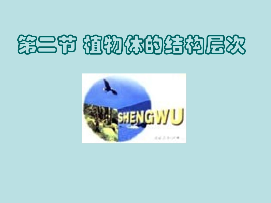 人教版七年级初一上册生物《植物体的结构层次PPT课件》_第1页