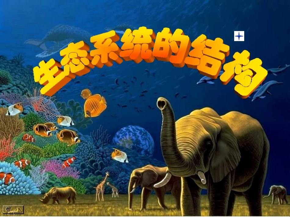 公开课 生态系统的结构_第1页