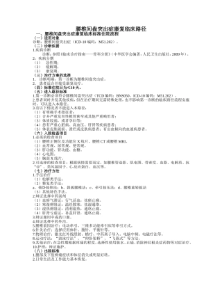 腰椎间盘突出症临床路径