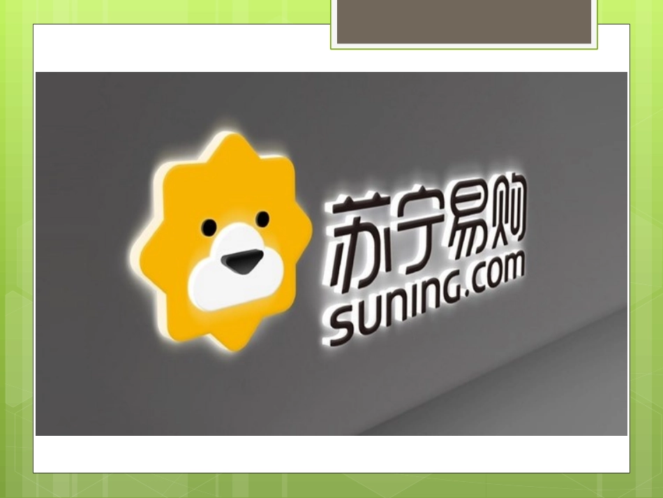 苏宁的物流模式_第2页