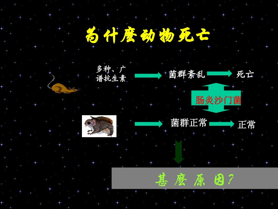 益生菌与肠道疾病_第2页