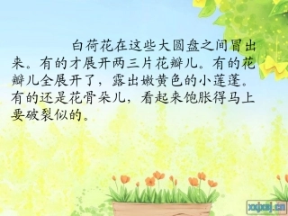 总分结构片段写作