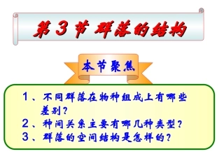 群落的结构(公开课)