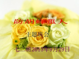 防胡蜂蜇人主题班会1