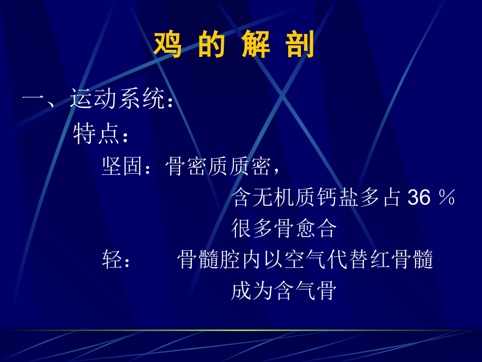 鸡的组织,结构及解剖_第1页