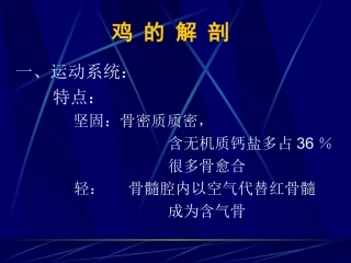 鸡的组织,结构及解剖