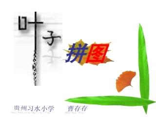 叶子拼图课件