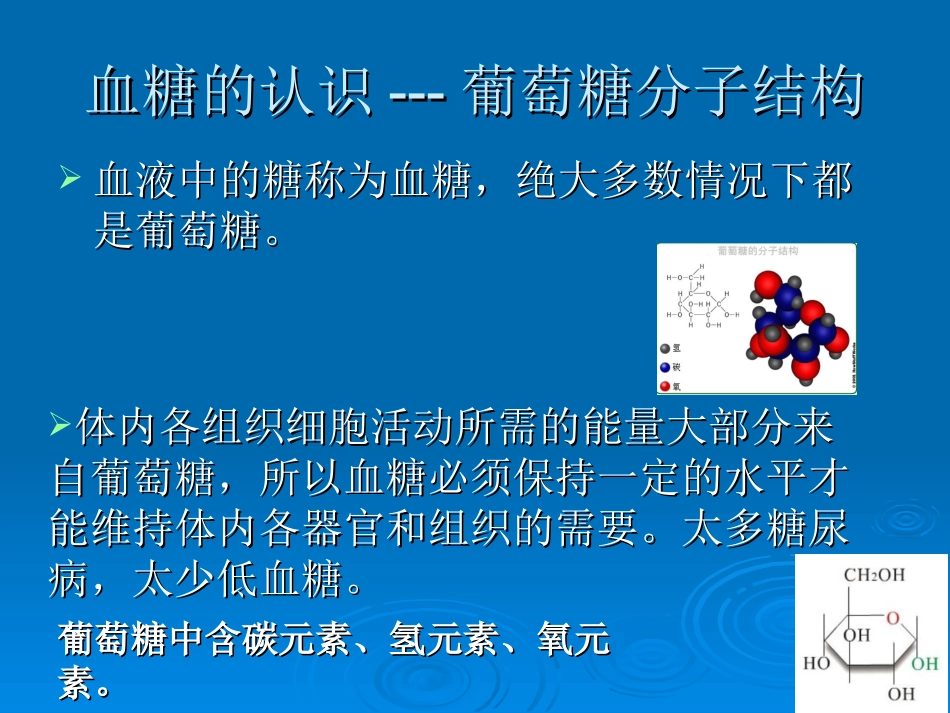 血糖检测原理培训_第2页