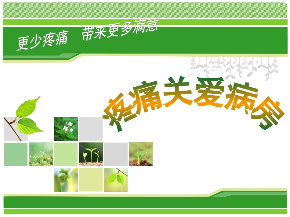 疼痛关爱病房_第1页