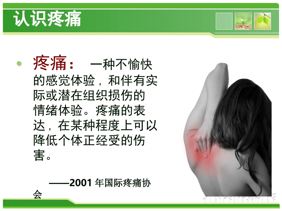 疼痛关爱病房_第3页