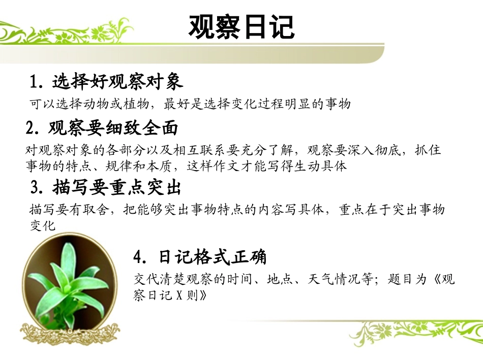 绿豆芽观察日记PPT_第1页