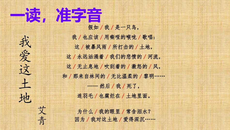我爱这土地优秀课件_第3页